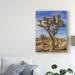 Union Rustic 'Views of Joshua Tree III' Photographic Print on Wrapped Canvas in Blue | 24 H x 18 W x 2 D in | Wayfair