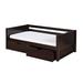 Harriet Bee Friedemar Twin 2 Drawer Solid Wood Mate's & Captain's Standard Bed Wood in Brown | 29.25 H x 42.5 W x 80.5 D in | Wayfair