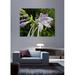 Wallhogs Batie Wet Flower Wall Decal Canvas/Fabric in Black/Gray/Green | 38.5 H x 48 W in | Wayfair batie16-t48