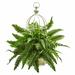 Bay Isle Home™ Boston Artificial Fern Plant Silk/Plastic/Metal | 19 H x 18 W x 18 D in | Wayfair 63C59794FA7843859884853E06B69D24