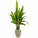 Ivy Bronx 51.5" Artificial Palm Tree in Pot Earthenware/Silk/Plastic | 64 H x 28 W x 28 D in | Wayfair F7E97FA52C8D4F77ABD1FEA66A5DAD04