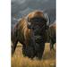 Toland Home Garden Where the Buffalo Roam 12.5 x 18 Inch Garden Flag, Polyester in Black/Brown | 18 H x 12.5 W in | Wayfair 1110439