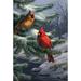 Toland Home Garden Two Cardinals 28 x 40 inch House Flag, Polyester in Black | 40 H x 28 W in | Wayfair 1010432
