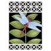 Toland Home Garden Dragonfly On Black 12.5 x 18 Inch Garden flag, Polyester in Black/Green | 18 H x 12.5 W in | Wayfair 112059