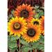 Toland Home Garden Sunflower Medley Polyester 18 x 12.5 in. Garden Flag in Green/Orange/Red | 18 H x 12.5 W in | Wayfair 110555