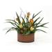 Distinctive Designs Dried Cream Repens, Tan Proteas, Tropical Foliage in Kidney-Shaped Planter Polysilk | 29 H x 37 W x 25 D in | Wayfair 9168