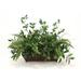 Distinctive Designs Mixed Greenery Branches Desk Top Foliage Plant in Planter | 25 H x 31 W x 20 D in | Wayfair 2044