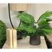 Greyleigh™ Areca 16" Artificial Palm Plant in Pot Resin/Plastic/Polysilk in Gray | 22 H x 23 W x 23 D in | Wayfair D2BB1CDB01B8446B96FF954174CFC083