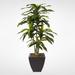 Ebern Designs Floor Dracaena Massangeana Tree in Pot Silk/Plastic/Metal | 48 H x 24 W x 23 D in | Wayfair LDER5535 42687999