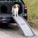 Tucker Murphy Pet™ Glendale Petwalk 3-Fold 59" Pet Ramp Plastic in Gray | 29 H x 15 W x 59 D in | Wayfair C1A790573E8F45AEB898592FBBA8C79B