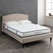 Queen Medium 9" Hybrid Mattress - Wayfair Sleep™ Sleep | 79 H x 59 W 9 D in 28B6AE890E9A4544B6B4BCB72FEAD306