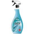 Pulitore Vetri Ekokemica Splendy 750ml