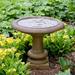 Lark Manor™ Connerton Birdbath Concrete, Copper in Gray/Blue | 14.75 H x 16 W x 16 D in | Wayfair A978238F03434C57B7C4B7A7EAABE9DD