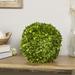 Primrue Katrina 8" Preserved Boxwood Topiary | 8 H x 8 W x 8 D in | Wayfair A33DAB0605944C3EBF9AF3D872D82145