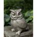 August Grove® Anthony Hoot Owl Statue Concrete in Gray | 10.5 H x 8.25 W x 9.25 D in | Wayfair 3077A8559CA54ADF95A393742B7D2ECC