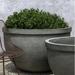 Lark Manor™ Valdese Concrete Pot Planter Concrete in Blue/Black | 22.75 H x 41.5 W x 35.5 D in | Wayfair 88CC683DFC174CF0AE5D900E238FB2A4