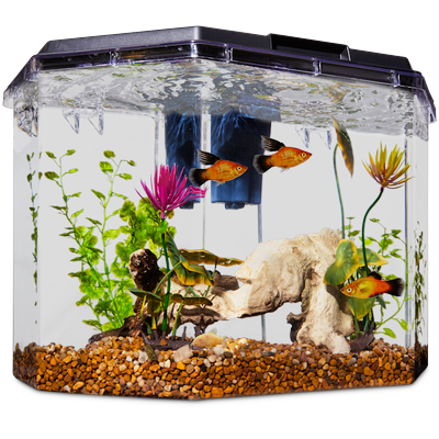 Imagitarium Semi-Hexagonal Aquarium Kit, 6.7 GAL