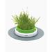 Senses 2.0 Grass Planter Cat Toy, Green