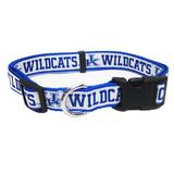 Kentucky Wildcats NCAA Dog Collar, Medium, Multi-Color