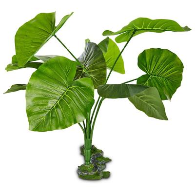 Imagitarium Ficus Terrarium Plant, 3" L X 20" H