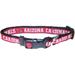 Arizona Cardinals NFL Dog Collar, Medium, Multi-Color / Multi-Color