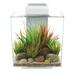 Edge 2.0 White Aquarium Kit, 12 Gallon, 42 LBS