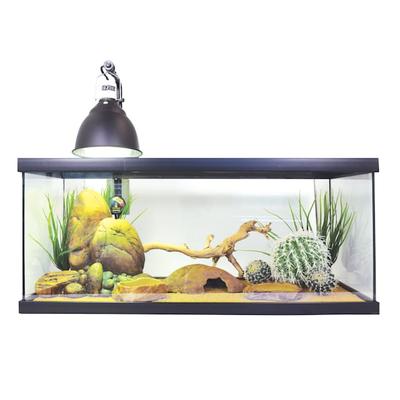 Exo Terra Juvenile Bearded Starter Kit