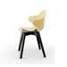 Calligaris Saint Tropez Ergonomic Chair w/ Shell & Wooden Base Plastic/Acrylic in Brown | 31.89 H x 22.44 W x 20.47 D in | Wayfair