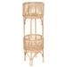 Bay Isle Home™ Anaya Multi-Tiered Plant Stand Rattan/Wicker in Brown | 36 H x 12 D in | Wayfair A6CE2E469AD841E088089023EDAD21CA