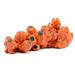 Wildwood Barnacle Figurine Porcelain/Ceramic in Orange | 5.25 H x 15.5 W x 7 D in | Wayfair 301178