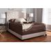 Baxton Studio Alesha Modern and Contemporary Beige Fabric Upholstered Queen Size Bed - 95-Alesha-Beige-Queen