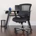 Symple Stuff Hayter High Back Mesh Multifunction Ergonomic Swivel Chair w/ Adjustable Arms Upholstered/Mesh in Black | 42 H x 28 W x 28 D in | Wayfair
