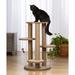 Tucker Murphy Pet™ 37" Borrego Cat Tree Manufactured Wood in Brown | 37 H x 21.5 W x 21.5 D in | Wayfair 292521CBABFB47CAAB1F2CC586730082