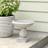 Ophelia & Co. Mayhall Birdbath Concrete | 8.75 H x 10.25 W x 10.25 D in | Wayfair C61283F19CAC4709892A784CCDEF821D