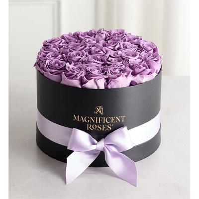 1-800-Flowers Flower Delivery Magnificent Preserved Lavender Roses Premier Lavender
