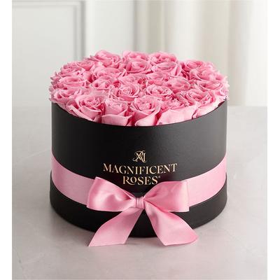 1-800-Flowers Flower Delivery Magnificent Preserved Roses Premier Pink | Happiness Delivered To Their Door