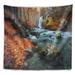 East Urban Home Polyester Forest w/ Leaves Tapestry w/ Hanging Accessories Included Polyester in Black/Brown | 50 H x 60 W in | Wayfair