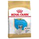3kg Puppy French Bulldog Breed Royal Canin Dry Dog Food