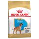 12kg Puppy Boxer Breed Royal Canin Dry Dog Food