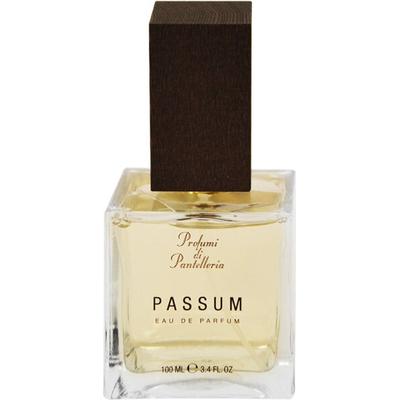 Profumi di Pantelleria Passum Eau de Parfum (EdP) 100 ml Parfüm