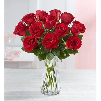 1-800-Flowers Flower Delivery November Red Roses W/ Clear Vase | Happiness Delivered To Their Door