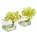 House of Hampton® Artificial Cymbidium Orchids Floral Arrangement in Vase Polyester/Faux Silk/Plastic/Fabric | 8 H x 5 W x 5 D in | Wayfair