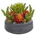 Primrue 12" Artificial Cactus Plant in Planter Silk/Plastic/Stone in Gray | 12 H x 12 W x 12 D in | Wayfair 55F8A803D3EF4B1BBB38CCC95F896DFB