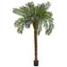 Bay Isle Home™ 84" Artificial Palm Tree in Planter Silk/Plastic | 84 H x 26 W x 47 D in | Wayfair 62CAEF5536D24BD6B0940E4673601258