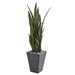Bay Isle Home™ 57" Artificial Snake Plant in Planter Silk/Plastic/Stone in Gray | 57 H x 11 W x 11 D in | Wayfair 1CAA8D05C6564D42BF100DF8E0100DFD