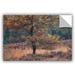Millwood Pines Oak Removable Wall Decal Vinyl | 8 H x 12 W in | Wayfair 6356F8FDD9264CE5A48384F5BD570126