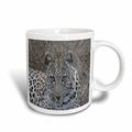 3dRose South Weibliche Afrikanische Leopard Face 11 oz Tasse, Keramik, Mehrfarbig, 10,2 x 7,62 x 9,52 cm