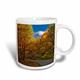 3dRose Blue Ridge Parkway, Herbst, North carolina-us34 aje0096-adam Jones Tasse, Keramik, weiß, 11,43 x 8,45 x 12,7 cm