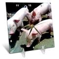 3dRose 3 Baby Schweine – Schreibtisch Uhr, 6 von 6 (DC 50176 _ 1)