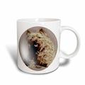 3dRose Cairn Terrier-Tasse 8132 _ 3 zu Becher/Tasse, Keramik, Mehrfarbig